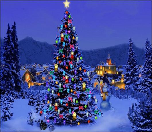 History of Christmas Tree & Lights