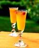 Mango peach cocktail recipe