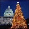 The Presidential Tree