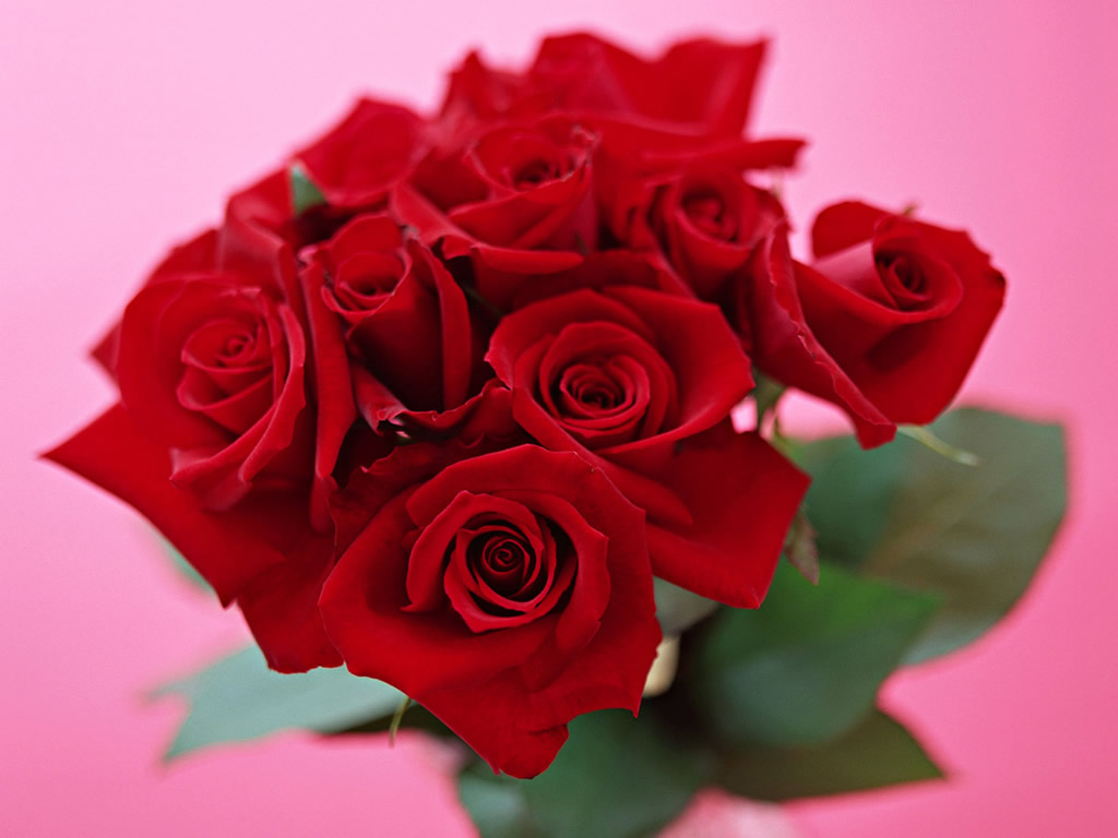 Flowers Delivery Services in Dubai