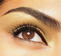 How to Tame Unruly Eyebrows