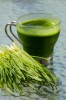 wheat grass