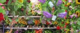 Artificial Flowers Shops in Paris