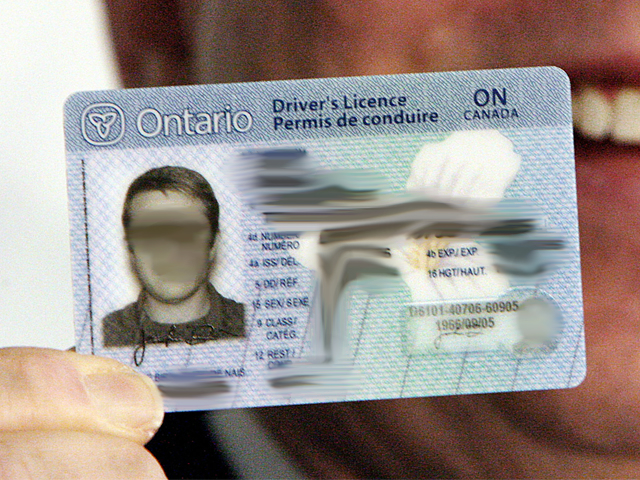 Driver License in Ottawa