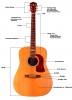 Know about the parts of Guitar