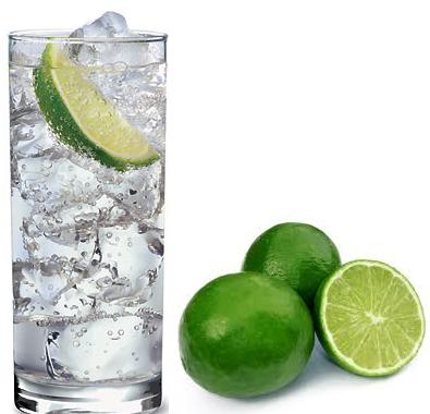 Gin and Tonic Cocktail