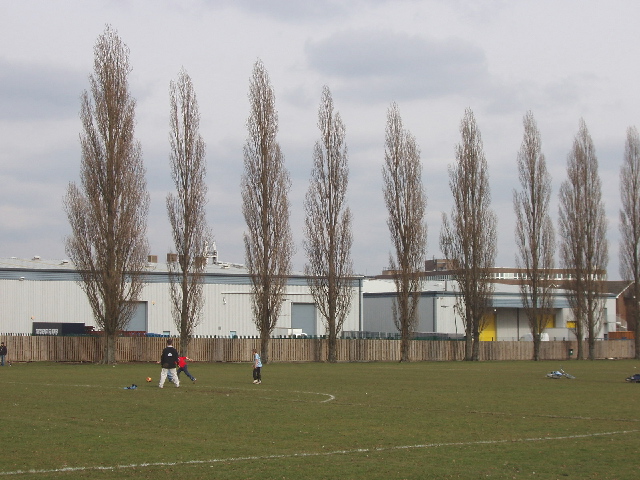 King Georges Field