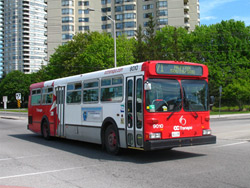 Ride a Public Bus in Ottawa