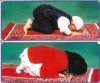 Position in Sajdah