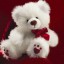 Valentine’s Day Teddy Bear Gift