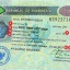 Indonesia Tourist Visit Visa Requirements in Dubai