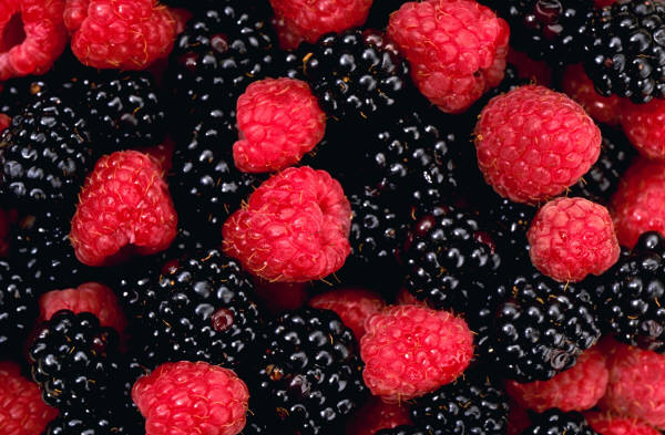 Berry Farms in Ottawa