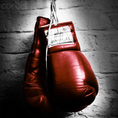 Ottawa Boxing Clubs Overview