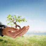 long term care insurance