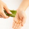 Applying Aloe Vera on acne scars