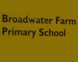 Broadwater farm primary school