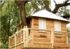 Treehouse