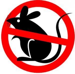 How to Get Rid Of Mice in the House