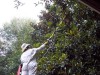 Knock Down Hornets' Nest
