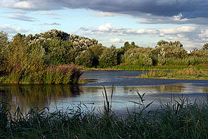 London Wetland Centre