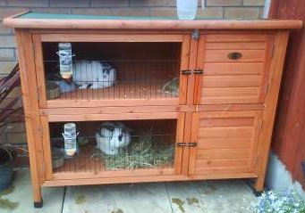 Rabbit Hutch