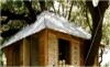 Roof of treehouse