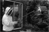 Spray Hornets' killer