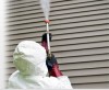Spray wasp killer