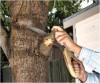 Trim extra branches
