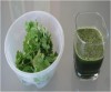 Apply coriander juice