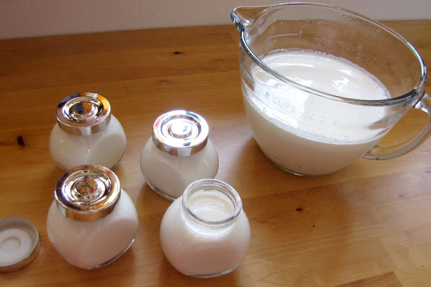 Making Your Own Yogurt