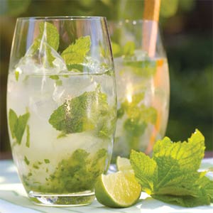 Making a Mojito