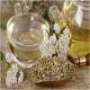 yarrow tea