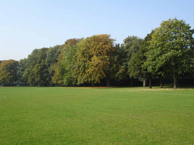 Sites and Attractions Near Reeves Corner Tram Stop