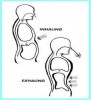 Breathing Exercise