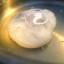 Cooking Poached Egg