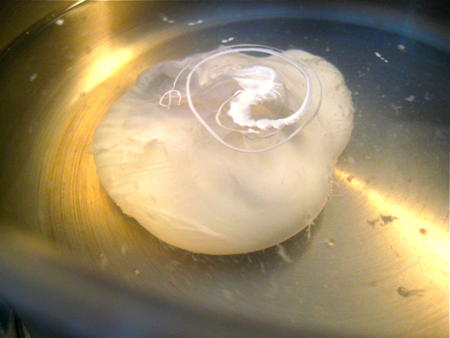 Cooking Poached Egg