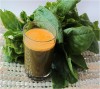 Raw spinach juice