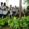 Students on Arbor Day