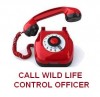 call wildlife control officer
