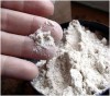 diatomaceous earth for bed bugs