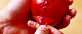 Peeling a Tomato