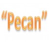 National Pecan Day