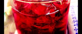 Campari Tonic Cocktail