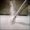 Carpet Wash with hot soapy water