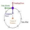 Centripetal Centrifugal Force ball circle