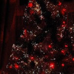 Christmas Tree Shops in London