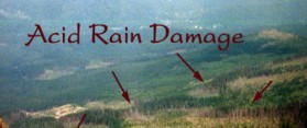 Damages of Acid Rain