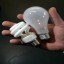 Light Bulbs Comparison