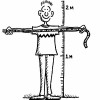 Measure your height